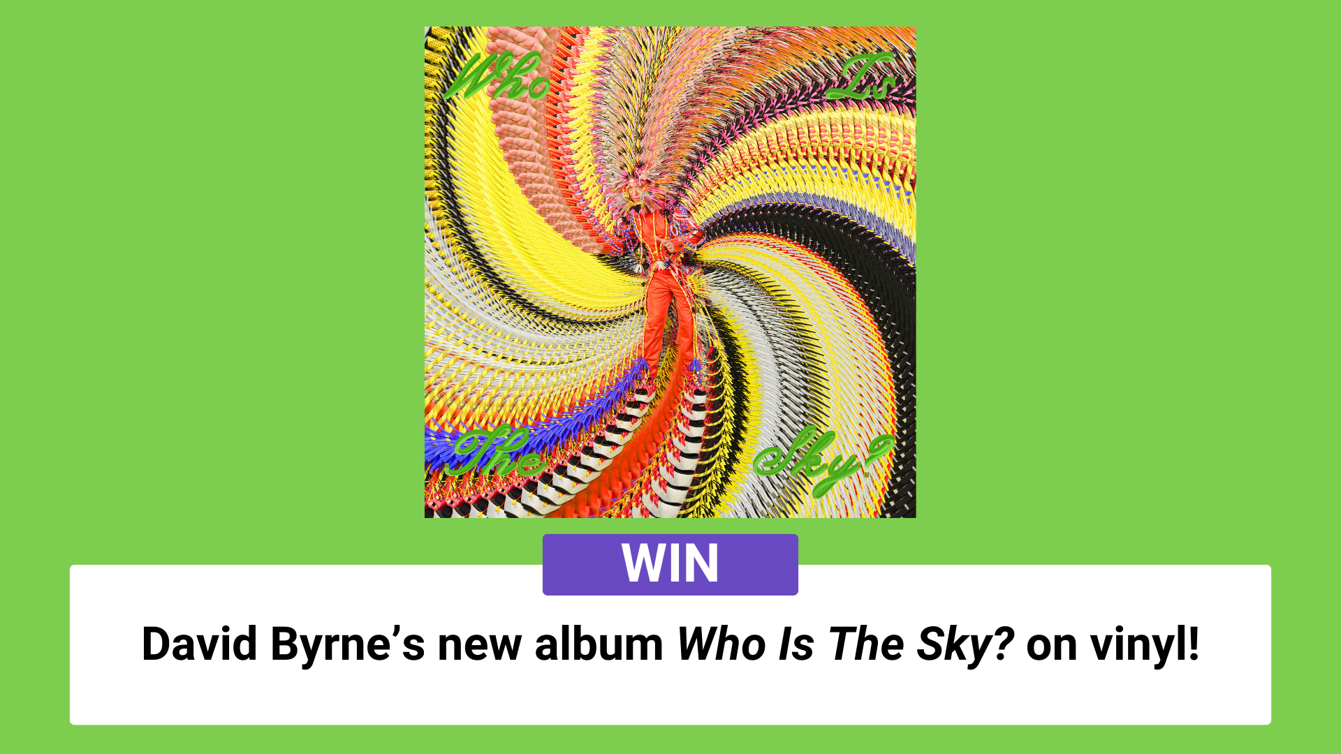 David Byrne Vinyl Comp 2025