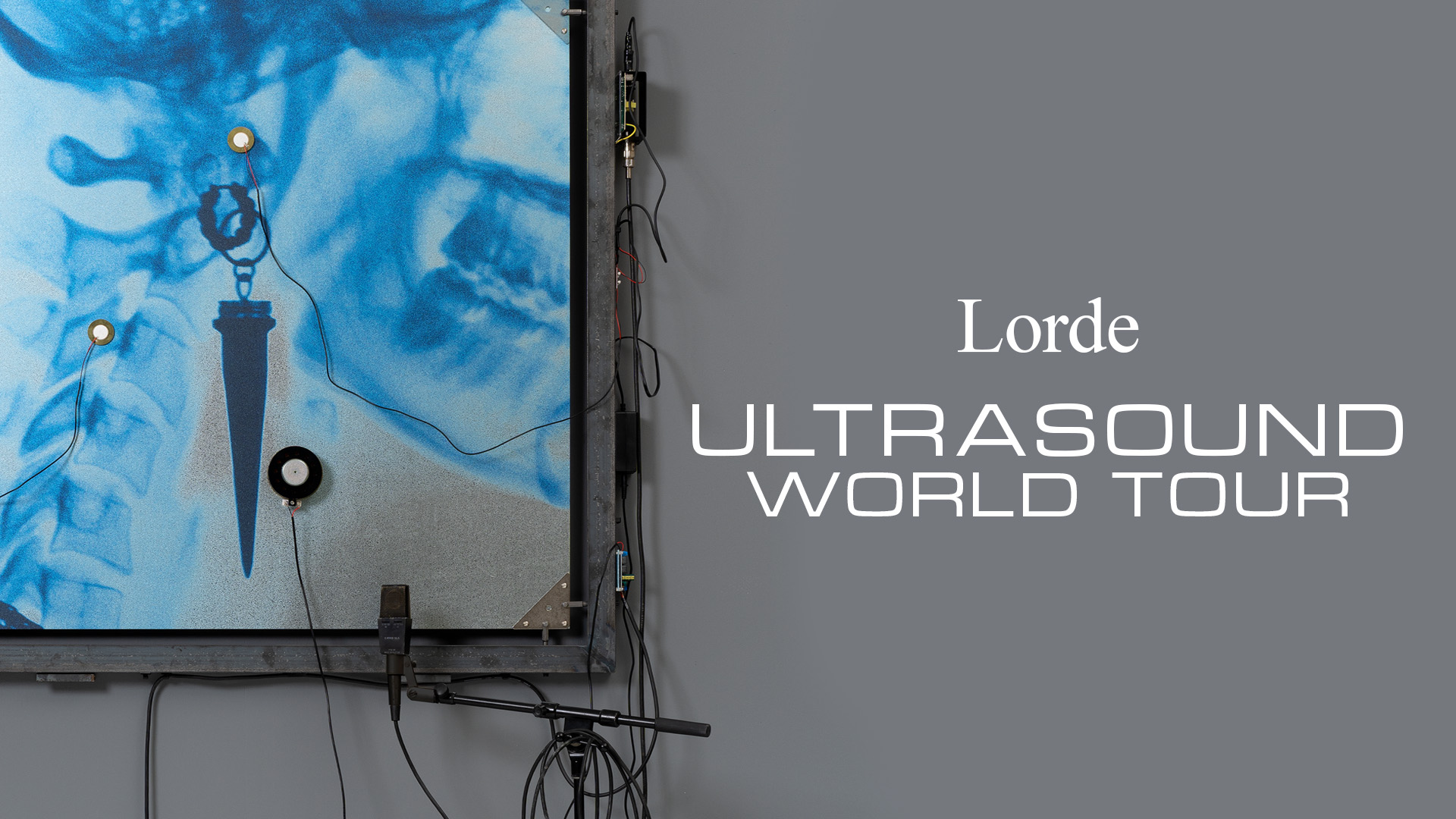 Lorde 2026 waitlist