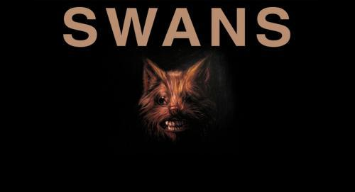 Swans 2013 (AUS)