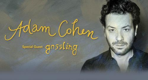 Adam Cohen 2012