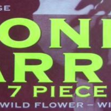 Dionne Farris Wild Tour