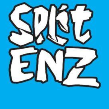Split Enz - New Zealand 2008