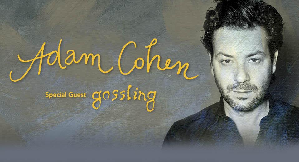 Adam Cohen 2012